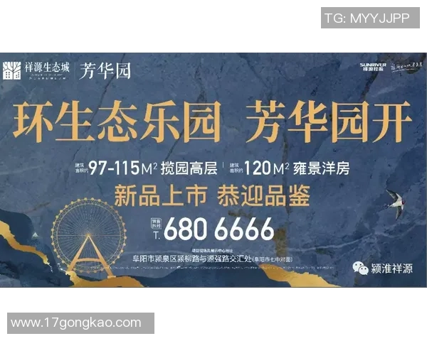 深度对话杨强探讨足球人生的起伏与梦想追寻
